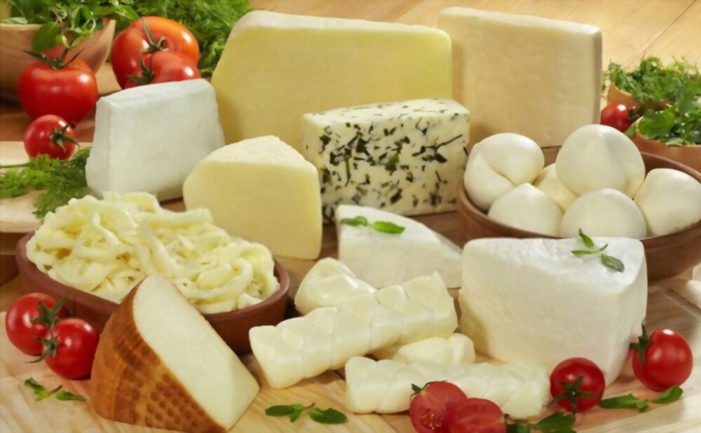 Specialty & Related Dairy